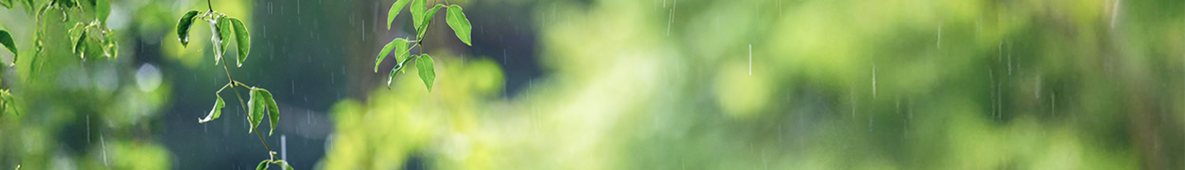 雨中的新生活 Banner