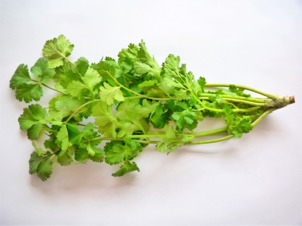 購買香菜時要如何挑選?沒用完的香菜可參考3個保存技巧 購買香菜時要如何挑選?沒用完的香菜可參考3個保存技巧
