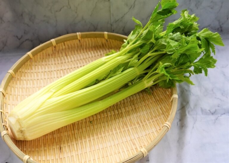 臺灣常見4大芹菜種類介紹！不同芹菜適合用在哪些料理？用不完又該如何保存？