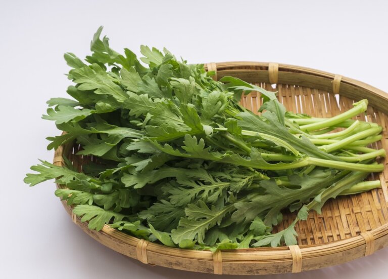 茼蒿、山茼蒿你喜歡吃哪一種？分享茼蒿的挑選、清洗與保存技巧