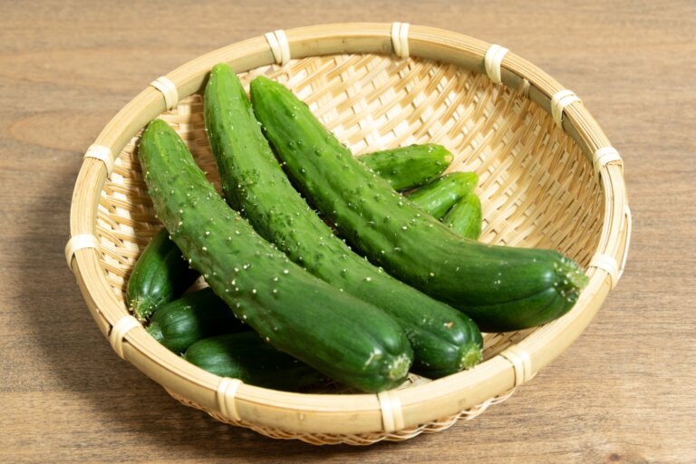 小黃瓜是大黃瓜的小時候？表面有刺的小黃瓜更好吃？推薦4道美味的涼拌小黃瓜作法