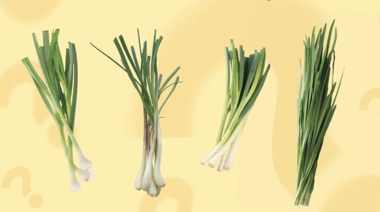 如何分辨外觀相似的青蔥、青蒜、韭菜、蕗蕎?農業部提供圖文說明