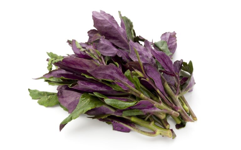 紅鳳菜怎麼煮可以去澀味、降寒涼？煮熟後的汁液為什麼是紫紅色？