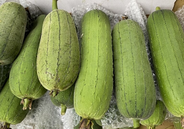 絲瓜可分為「圓筒」和「稜角」兩大類！絲瓜怎麼煮可保持顏色翠綠不變黑？