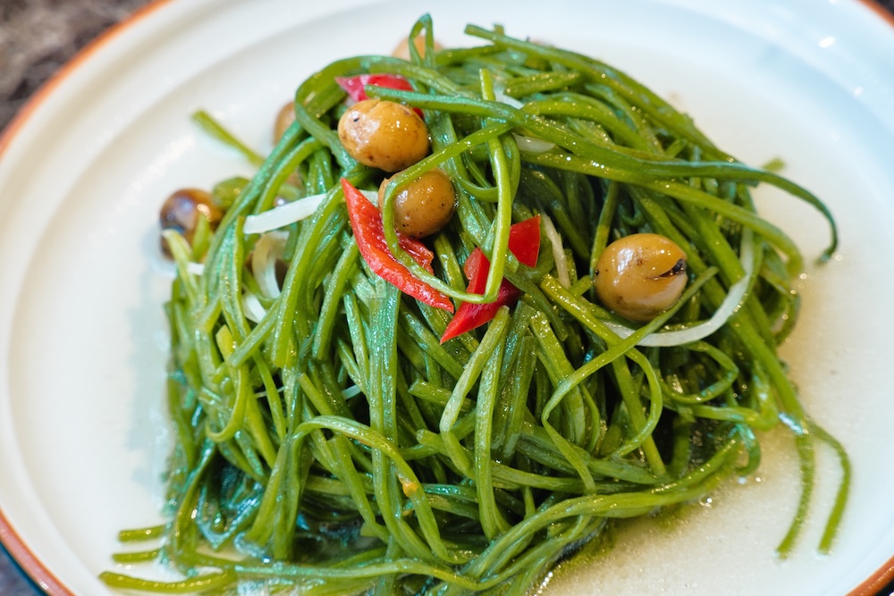 水蓮的長度可超過1公尺！水蓮怎麼料理可使口感保持清脆？