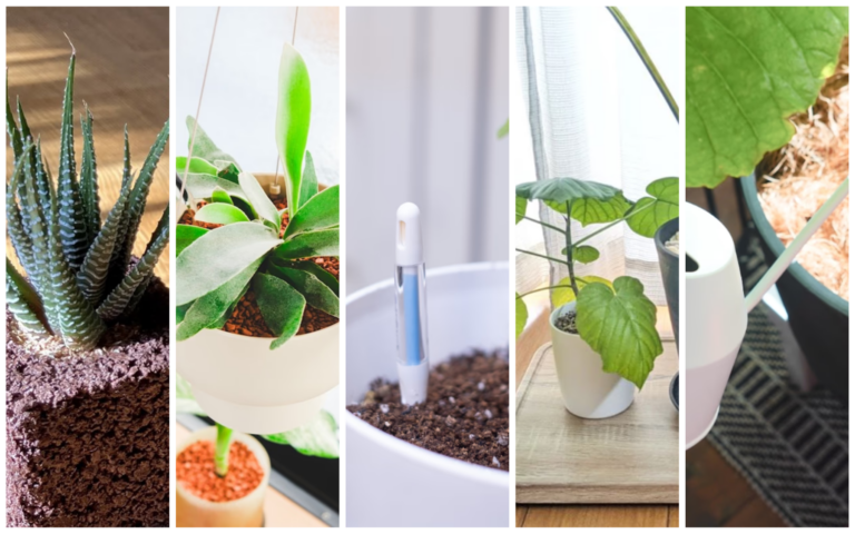 把春天帶進家！新手也能輕鬆駕馭的療癒植栽與必備神器