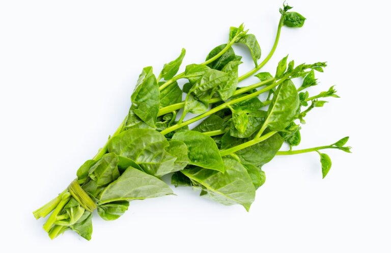 皇宮菜怎麼煮可以去土味?只要留下一截菜梗,就能在家種植採收!