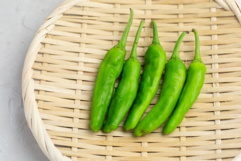 青龍椒、青辣椒、糯米椒哪一種會辣？一起來做美味下飯的「豆豉炒糯米椒」！
