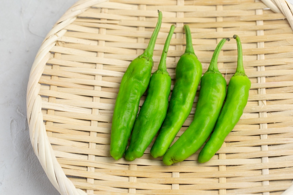 青龍椒、青辣椒、糯米椒哪一種會辣？一起來做美味下飯的「豆豉炒糯米椒」！