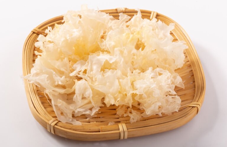 銀耳又名白木耳,它和黑木耳有何差別?新鮮銀耳和乾燥銀耳煮法不同!