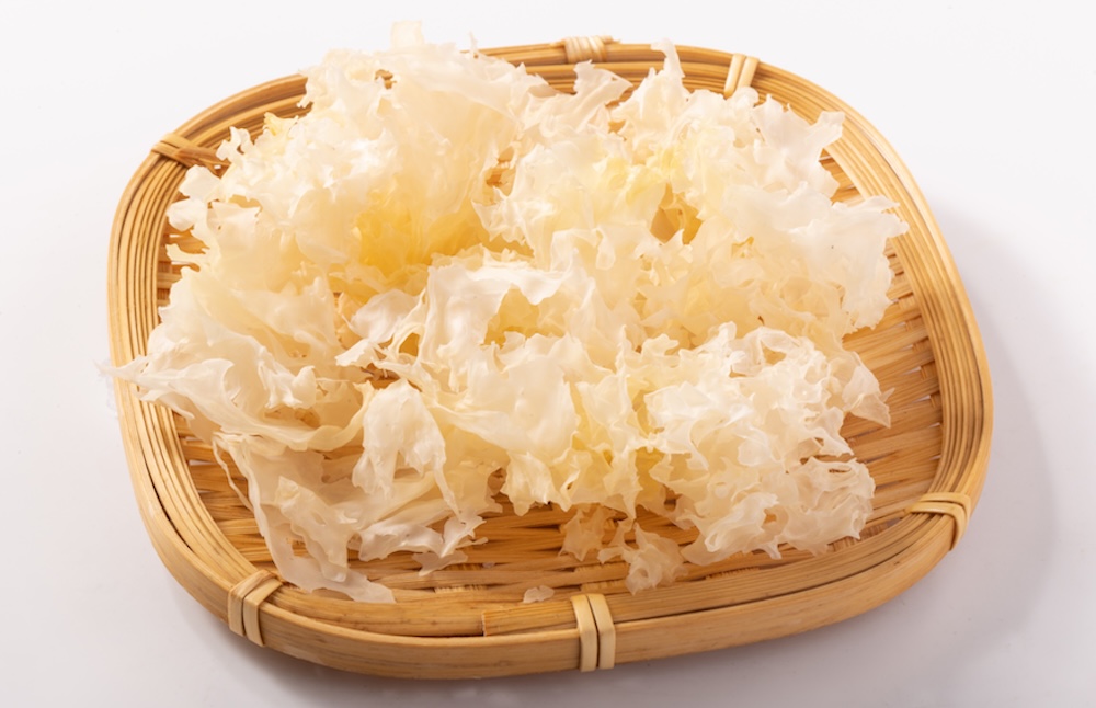 銀耳又名白木耳,它和黑木耳有何差別?新鮮銀耳和乾燥銀耳煮法不同! 銀耳又名白木耳,它和黑木耳有何差別?新鮮銀耳和乾燥銀耳煮法不同!