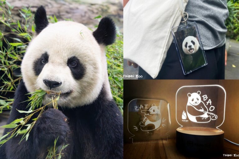 台北市立動物園「大貓熊生日派對」首辦獸醫聊天室!限量100組雙寶大貓熊壓克力夜燈&閃卡6/20開搶
