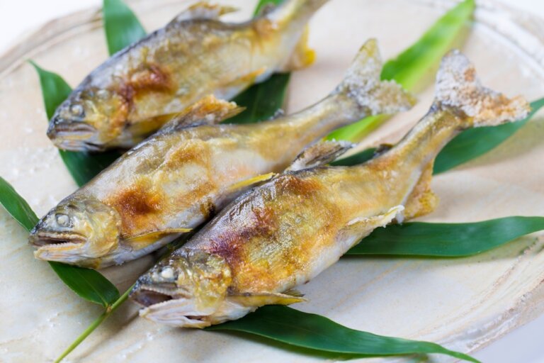 香魚是自帶香氣的魚？鹽烤香魚怎麼吃，才能解鎖甘苦的「大人味」？