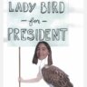 Lazybird